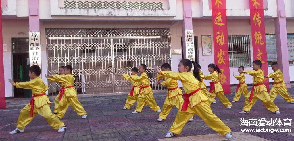 【武术】海南武术再添新丁　戳脚翻子拳研究会在琼成立