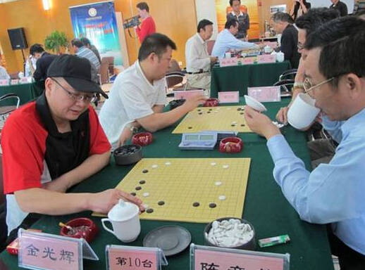 海南省围棋文化促进会成立 洪江游当选主席