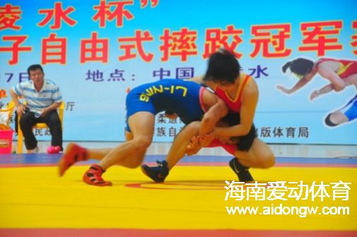 “陵水杯”2016年全国女子自由式摔跤冠军赛今日开赛