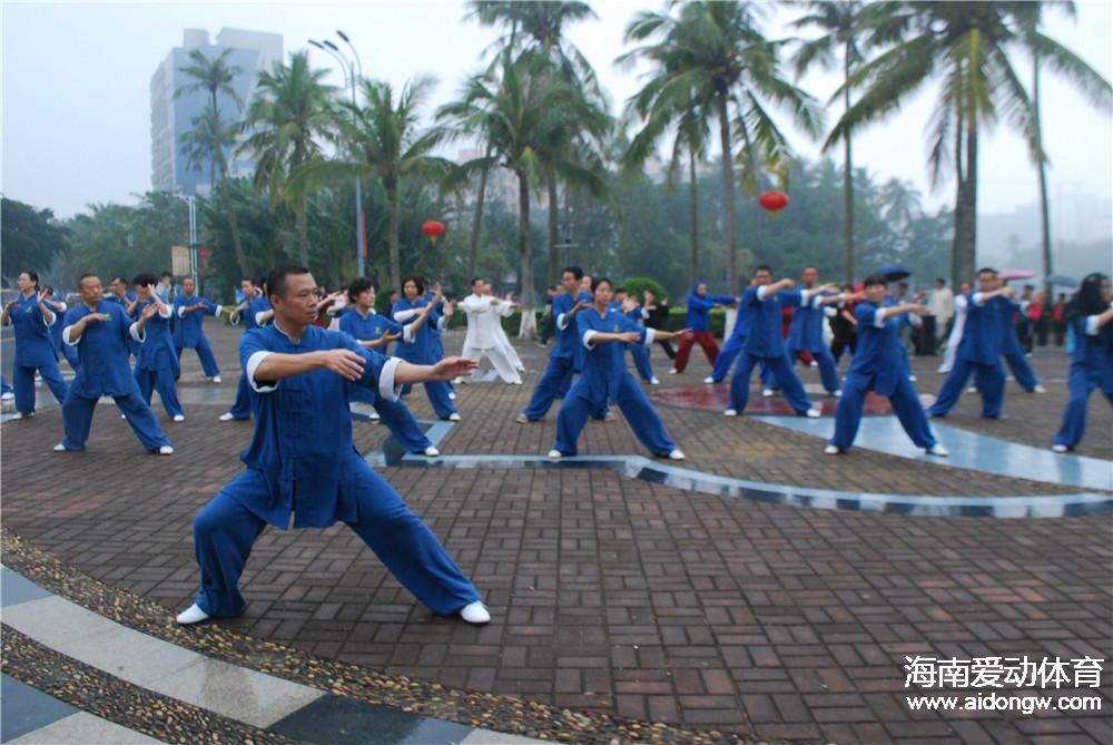 2017年海南省武术协会迎新春联欢会落幕　260名武术爱好者迎春献艺