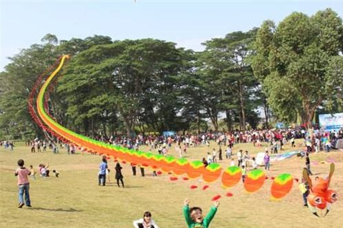 海南2017一带一路共创共建风筝体育文化节4月底举行 20多支车队参赛