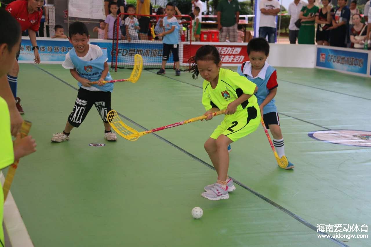 2017海南省全民健身运动会旱地冰球比赛开幕 共24支队伍参赛