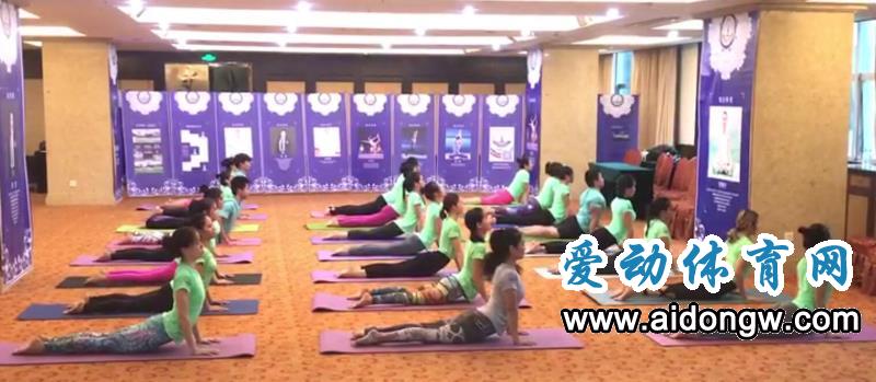 2017海南省全民健身运动会健身瑜伽比赛28日开幕 全省15支队参与