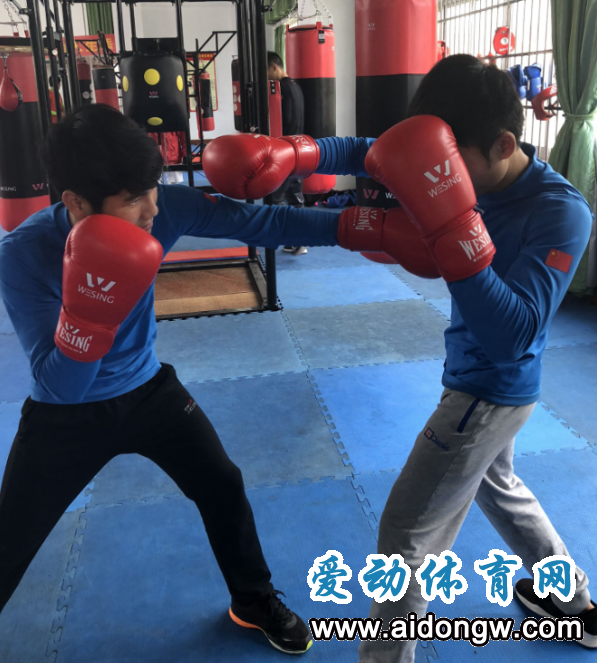 海南省拳击队正全力备战全国拳击锦标赛 张轲：队伍新老交替年轻小将需多磨练
