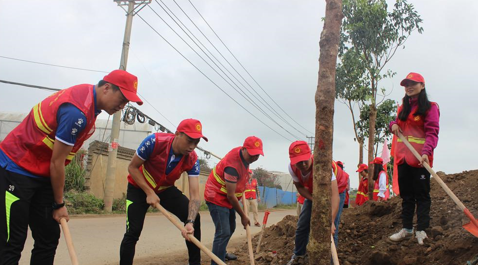 【图集】海南足球队队员和球迷一起参加植树活动