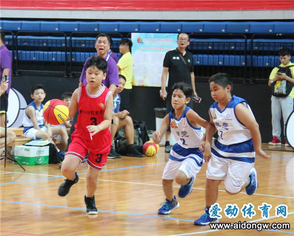 中国小篮球联赛华南赛区开赛  海南6支球队参与