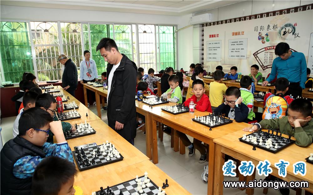 21年风雨兼程！海南童星国际象棋学校世贸旗舰店海口开业