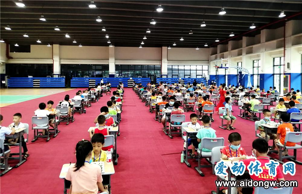 2020年海南省国际象棋等级赛收官
