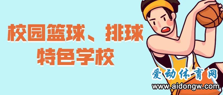 海南这些学校入选！2020年全国青少年校园篮球、排球特色学校名单出炉