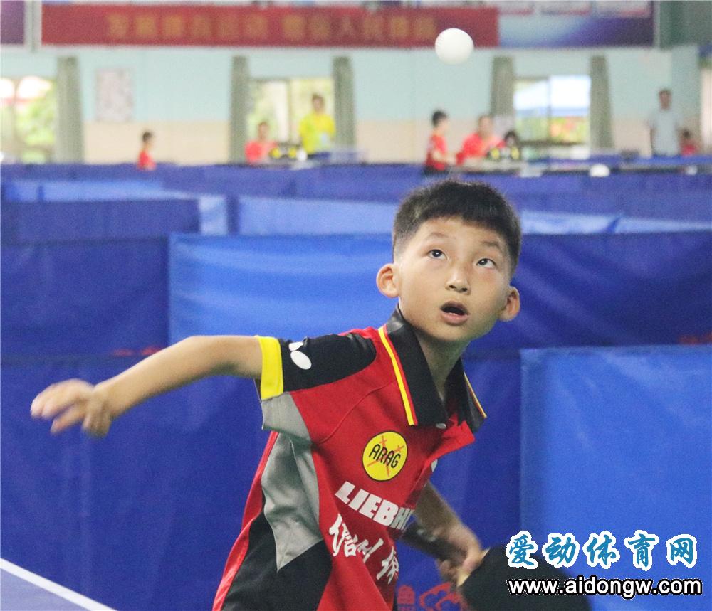 对接国家级赛事分组，让更多小选手参赛！2021年海南省少年乒乓球赛（U10）澄迈收官