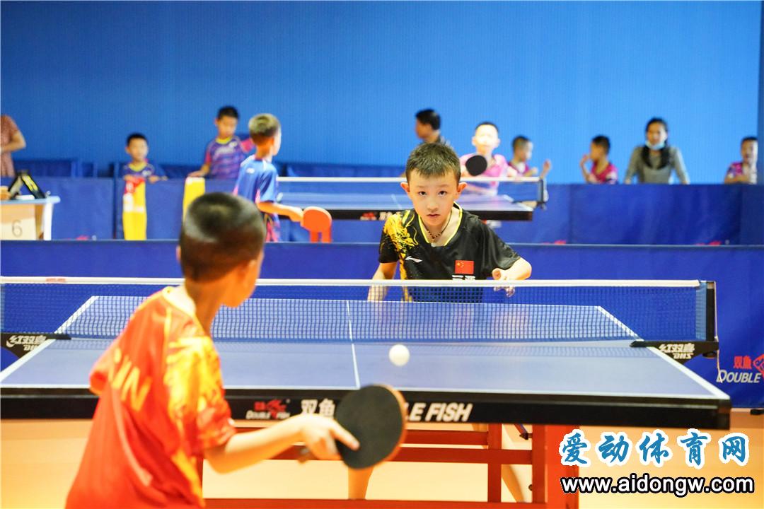 2022年海南省青少年乒乓球赛（U12）11日白沙挥拍