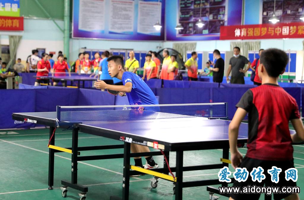 报名 | 2021年“谁是球王”海南省民间乒乓球赛10月白沙开打