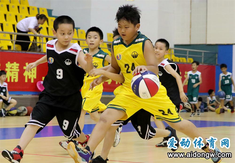 2022年海南省小篮球联赛决赛11月5日开赛
