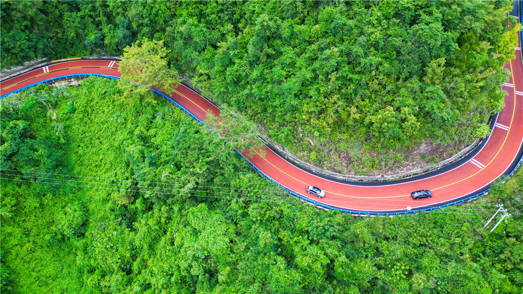 赛程过半！拉力赛SS4赛段：赛员迎接热带雨林绕山路挑战